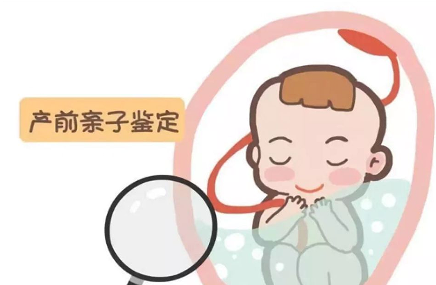 孕妇怎么做百色亲子鉴定